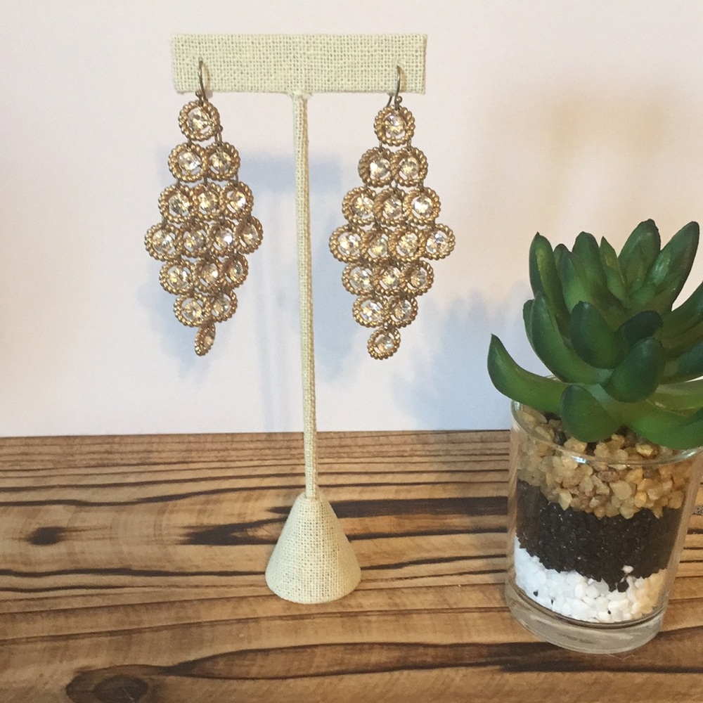 Beautiful Dangle Earrings